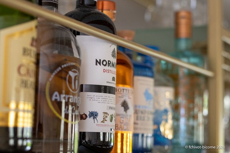 LERELAISDEMONTIGNY-©f-chivot bicome (72)