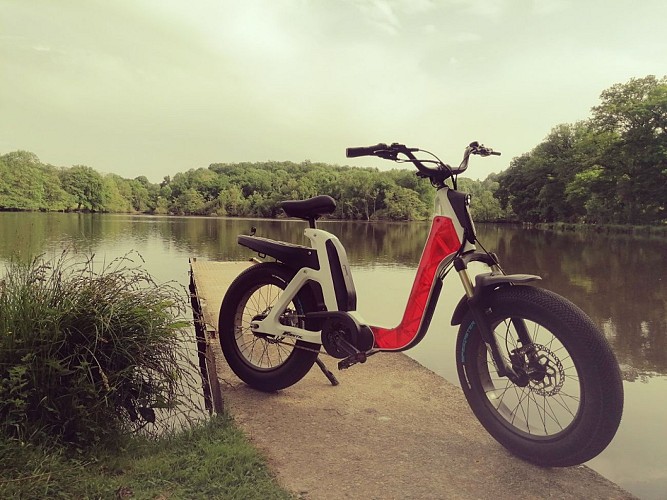 Chambre d'hôtes : Le Chêne