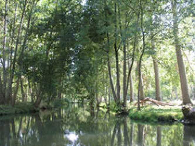 Le Marais poitevin2