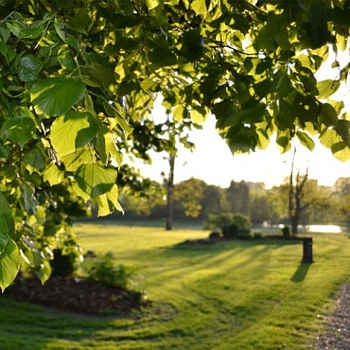 cadre-chateau-sury-480x480