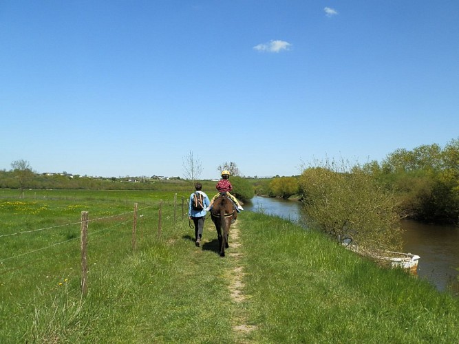 DES ÂNES & DES AILES