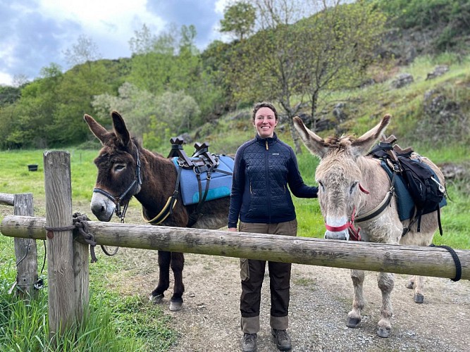 DES ÂNES & DES AILES