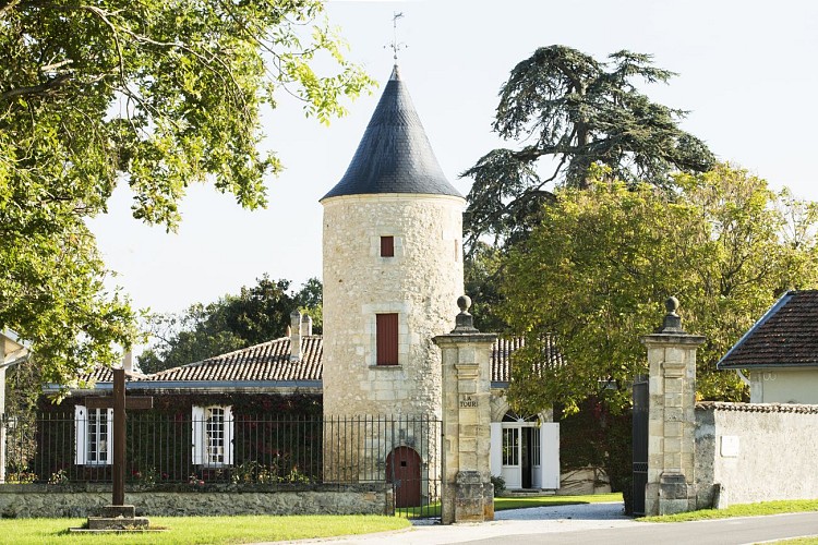 Château Latour-Martillac 9 - OTM 2020