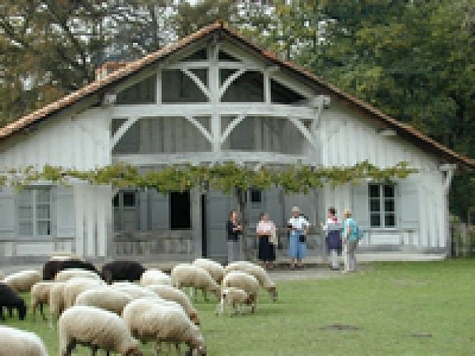 Marquèze Maison Mouton 