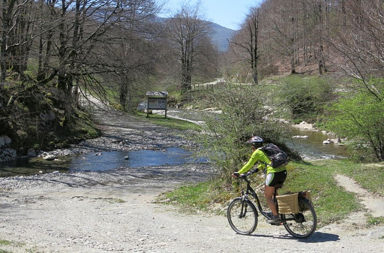 Cyclotourisme_vtt_Forêt d'Iraty