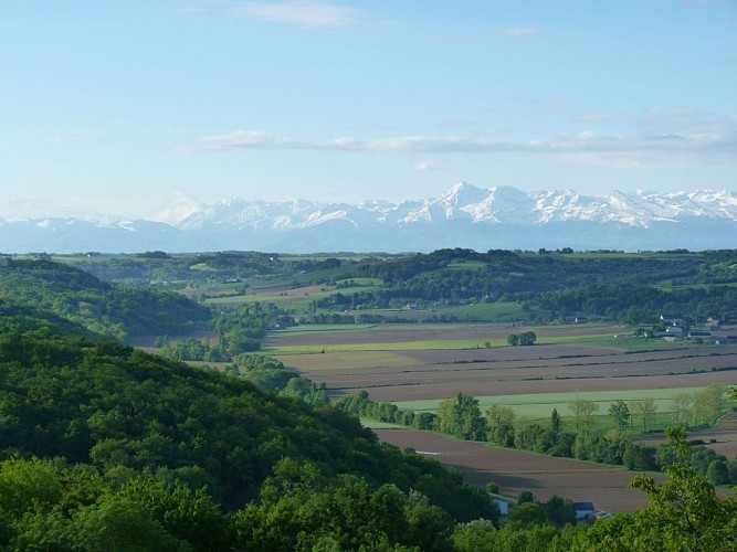 image du object