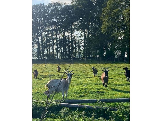 Baons-le-Comte_La-paysagerie©La Paysagerie_4