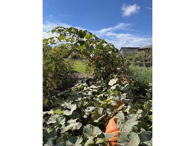 Baons-le-Comte_La-paysagerie©La Paysagerie_7