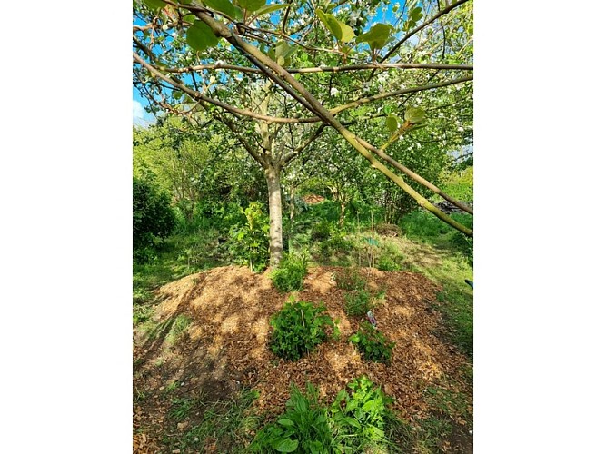 Baons-le-Comte_La-paysagerie©La Paysagerie_5