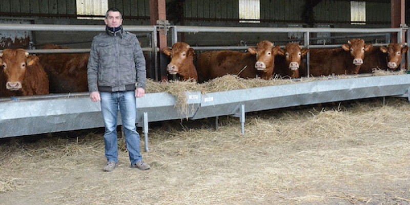 Ferme Limousine d'Arcissat