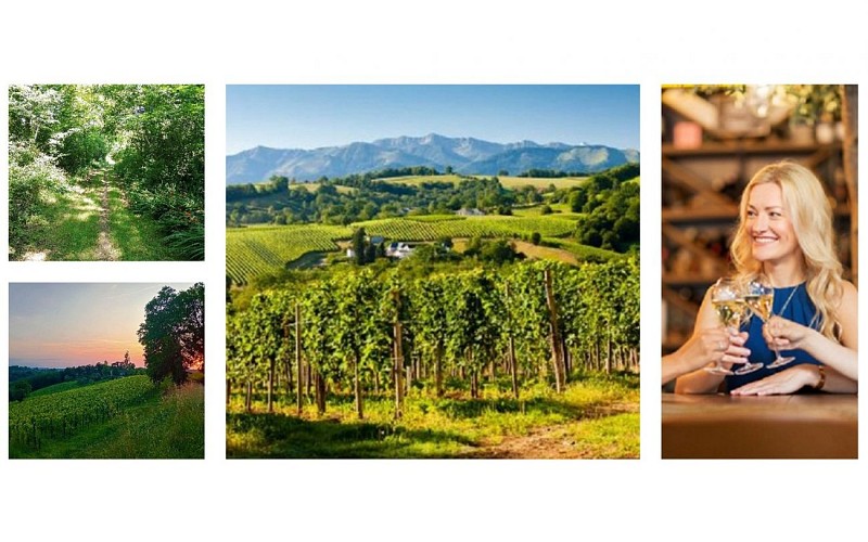 rando dans les vignes