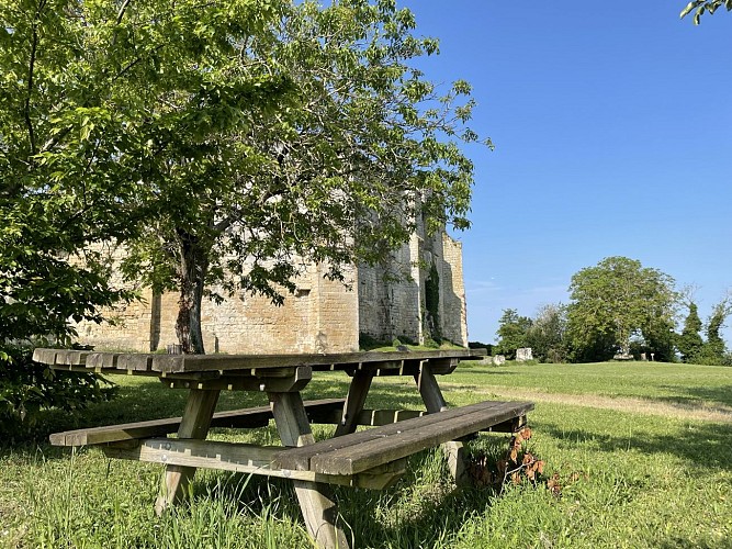 Pujols©Office de Tourisme Castillon-Pujols_CM 2023  (1)