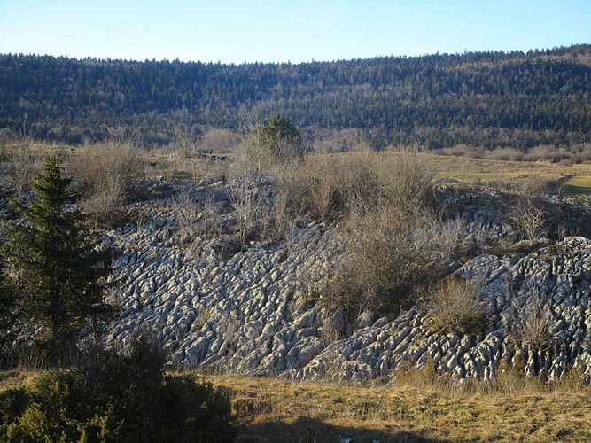 Le lapiaz des chauvins