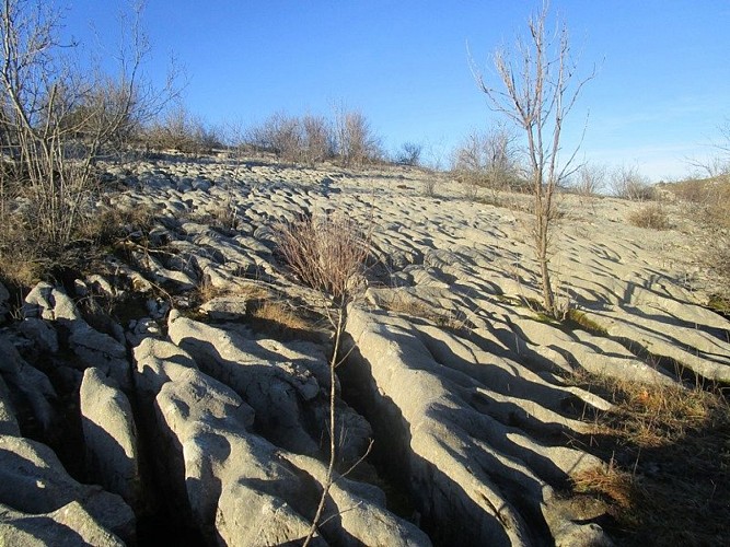 Le lapiaz des chauvins