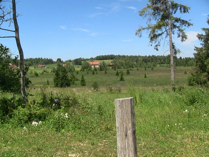 La tourbière du Lac-des-Rouges-Truites