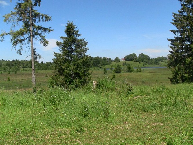 La tourbière et le lac