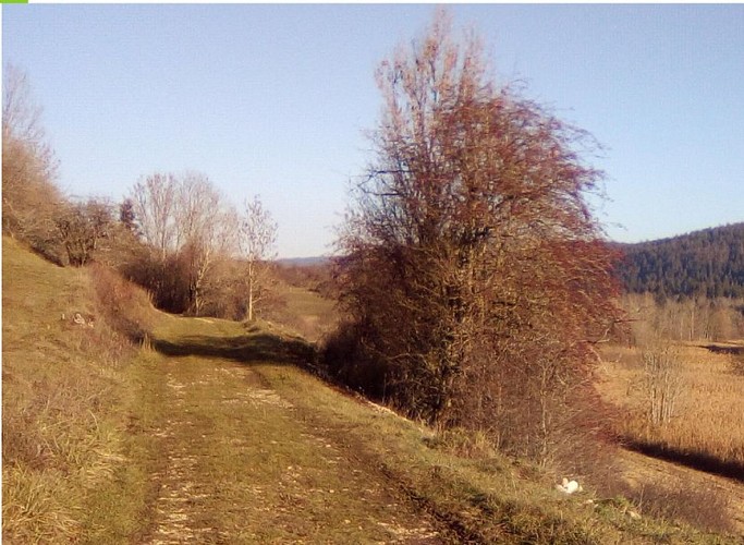 Voie du tram Laure Gobin/OT Haut-Jura Grandvaux