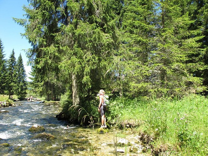 Source du Doubs