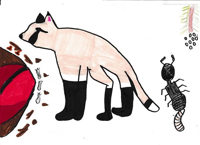 Les prédateurs de la fourmi