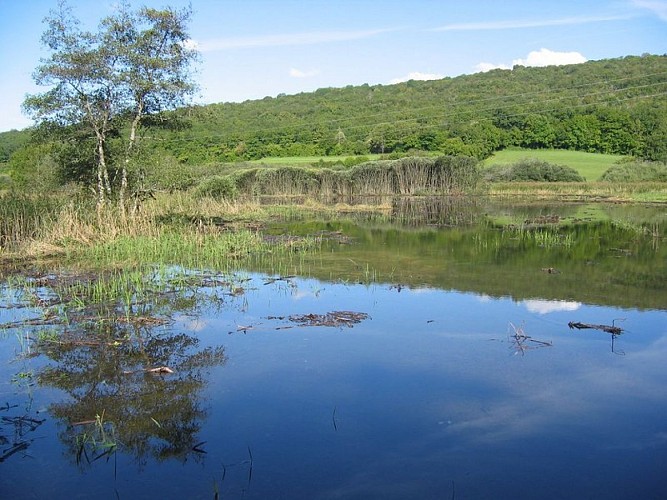 Marais d'Ecrille