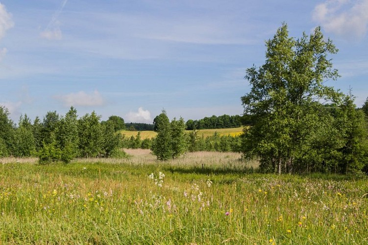 Tourbière de Fort-du-Plasne