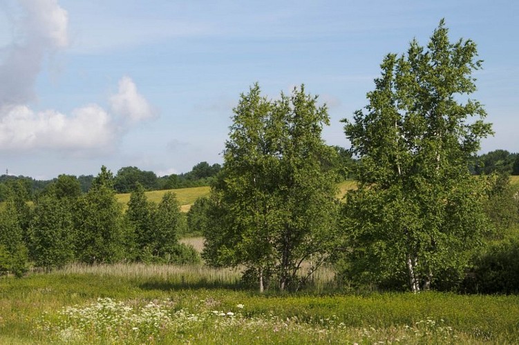 Tourbière de Fort-du-Plasne