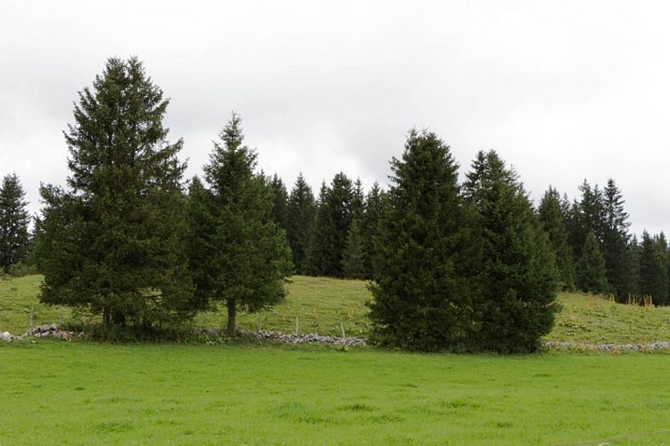 Farming activities that leave their mark on the landscape