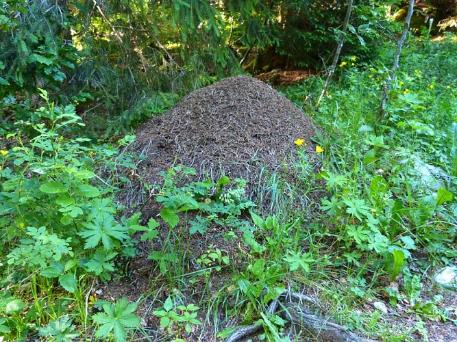 image du object