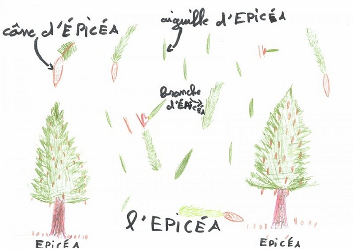 image du object