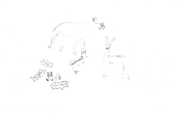 image du object