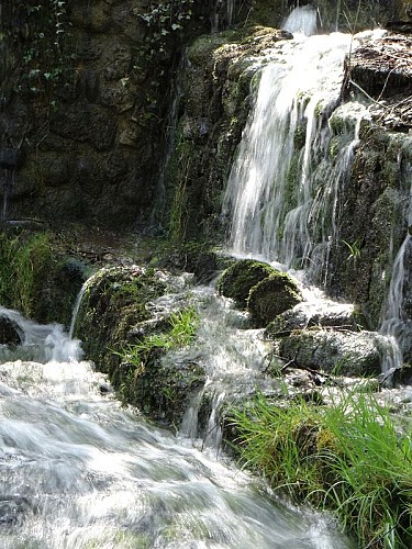 Sources de la Divonne