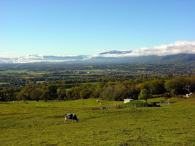 Panorama Mont Mourex