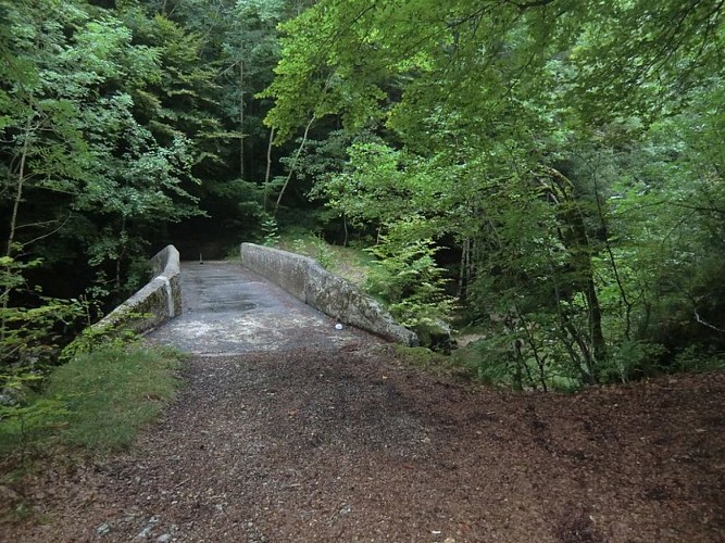 Pont du Diable