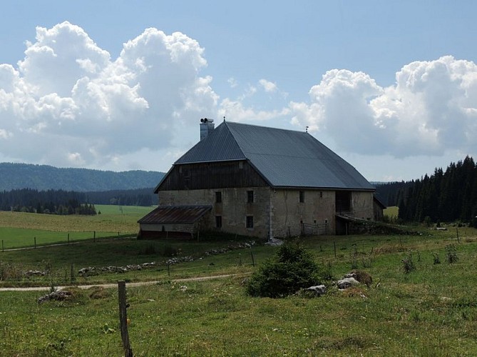 A roof withstanding all challenges