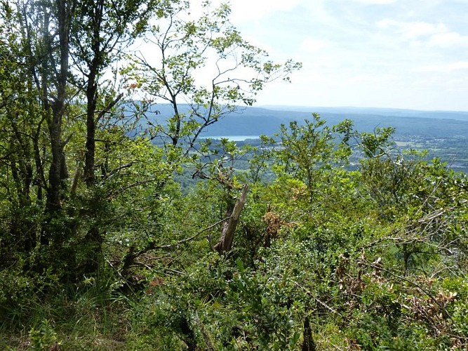 Point de vue sur le lac de Vouglans