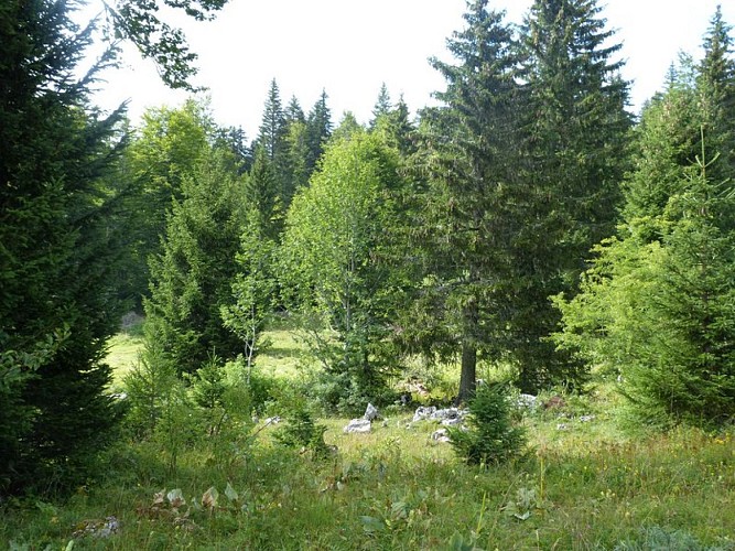 image du object
