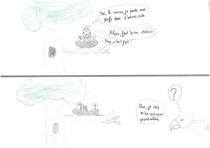 Le Pic noir et le coucou