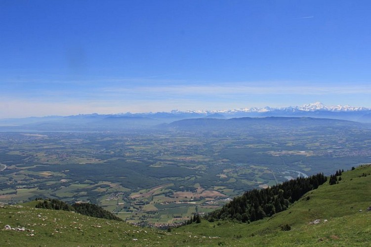 Point de vue du crêt de la Goutte 