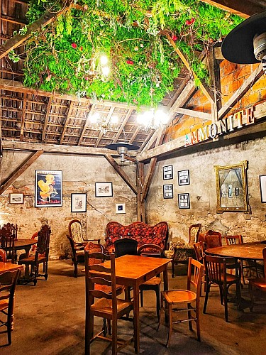 IMG_20230313_170110-01-01-scaled