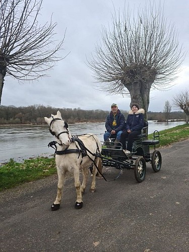 Ousson sur Loire - Balade en calèche