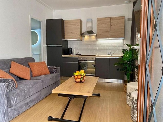 solognetourisme-romorantin-gite-fleurdelys-cuisine ouverte sur salon