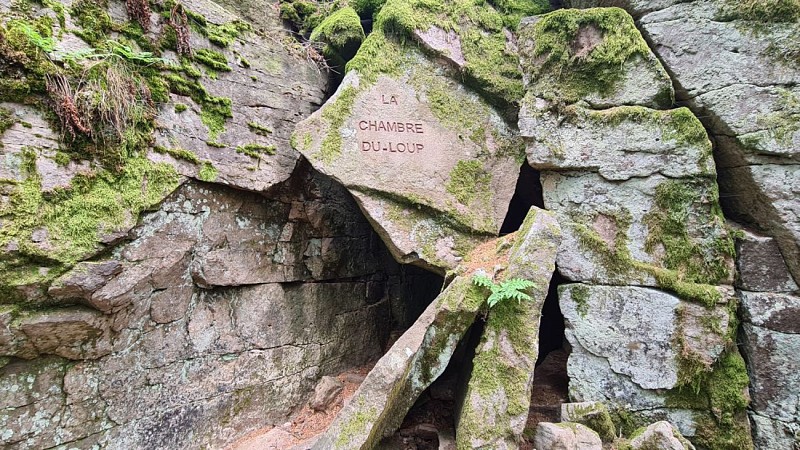la chambre du Loup