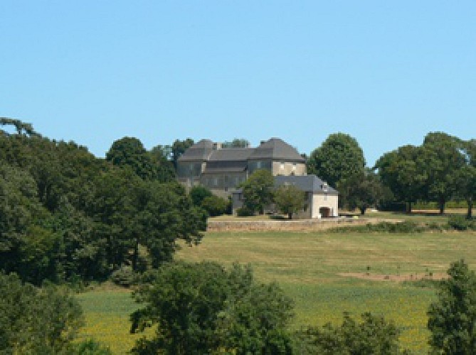 Chateau de Melletbis
