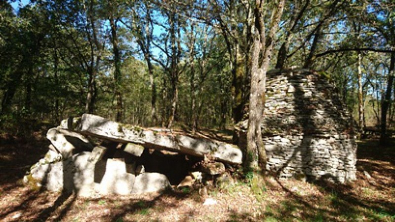 A dolmenpeiralevada1
