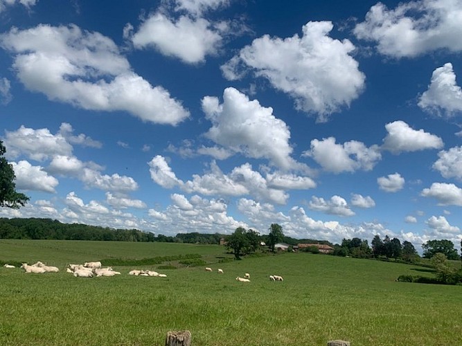 Gîte rural de la Ferme de Montalibord