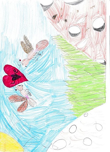 Les castes des fourmis