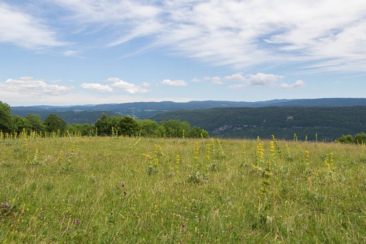 Point de vue de Sur la Côte 