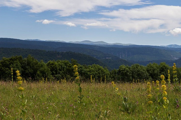 Point de vue de Sur la Côte 