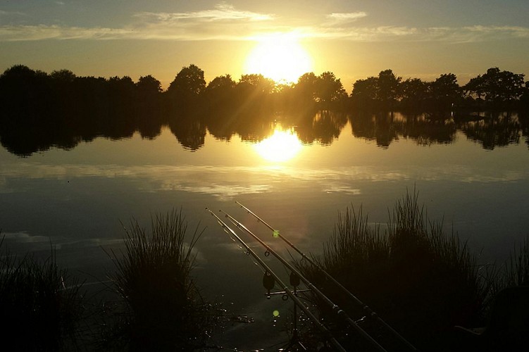 Pêche détente loisirs nature Thouet Thouars Thouarsais Deux Sèvres Nouvelle Aquitaine (11)