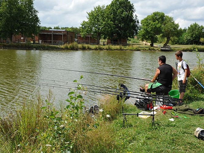 Peche detente loisirs nature Thouet Thouars Thouarsais Deux Sèvres